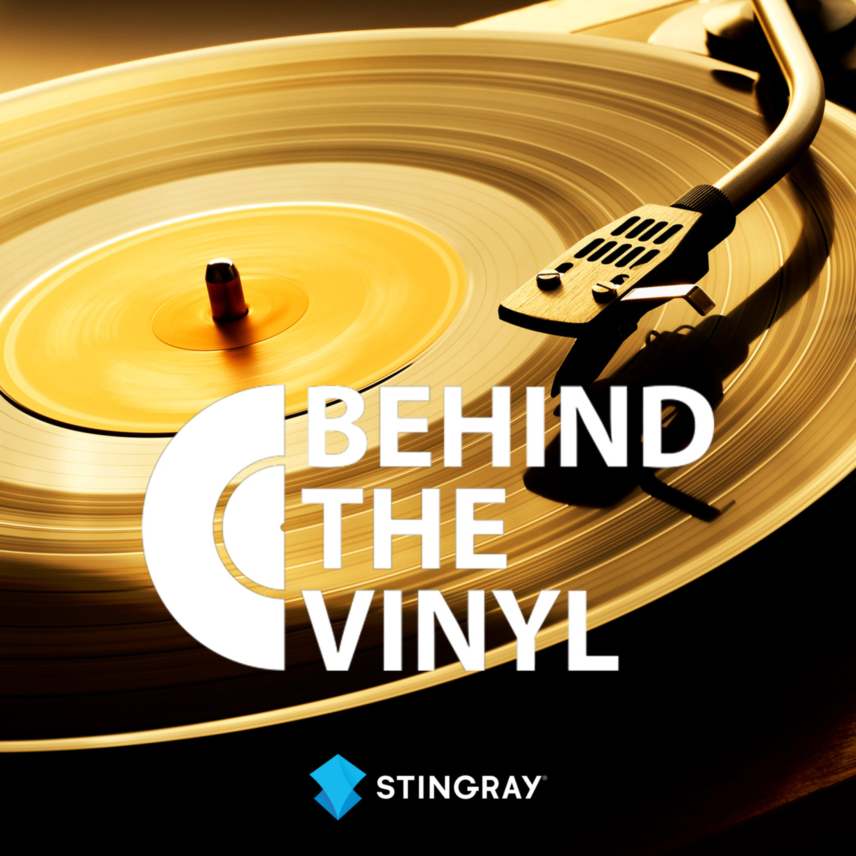 Behind the Vinyl Podcast