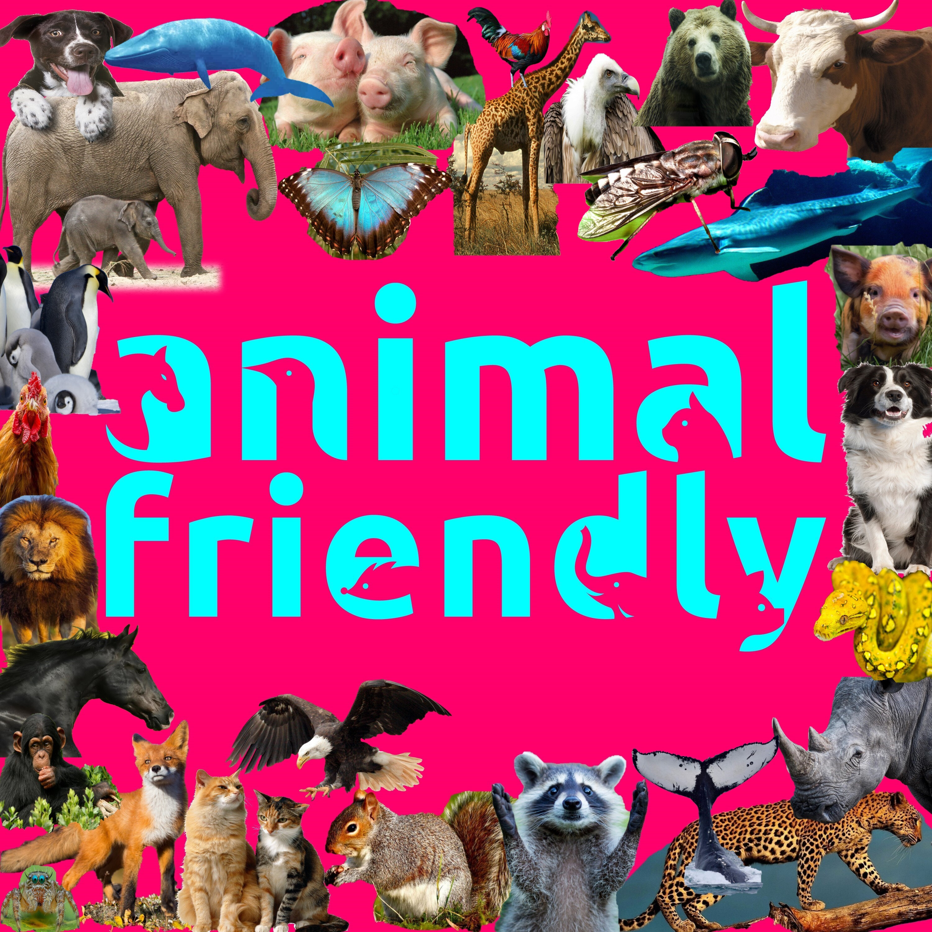 Animal Friendly Animal Friendly