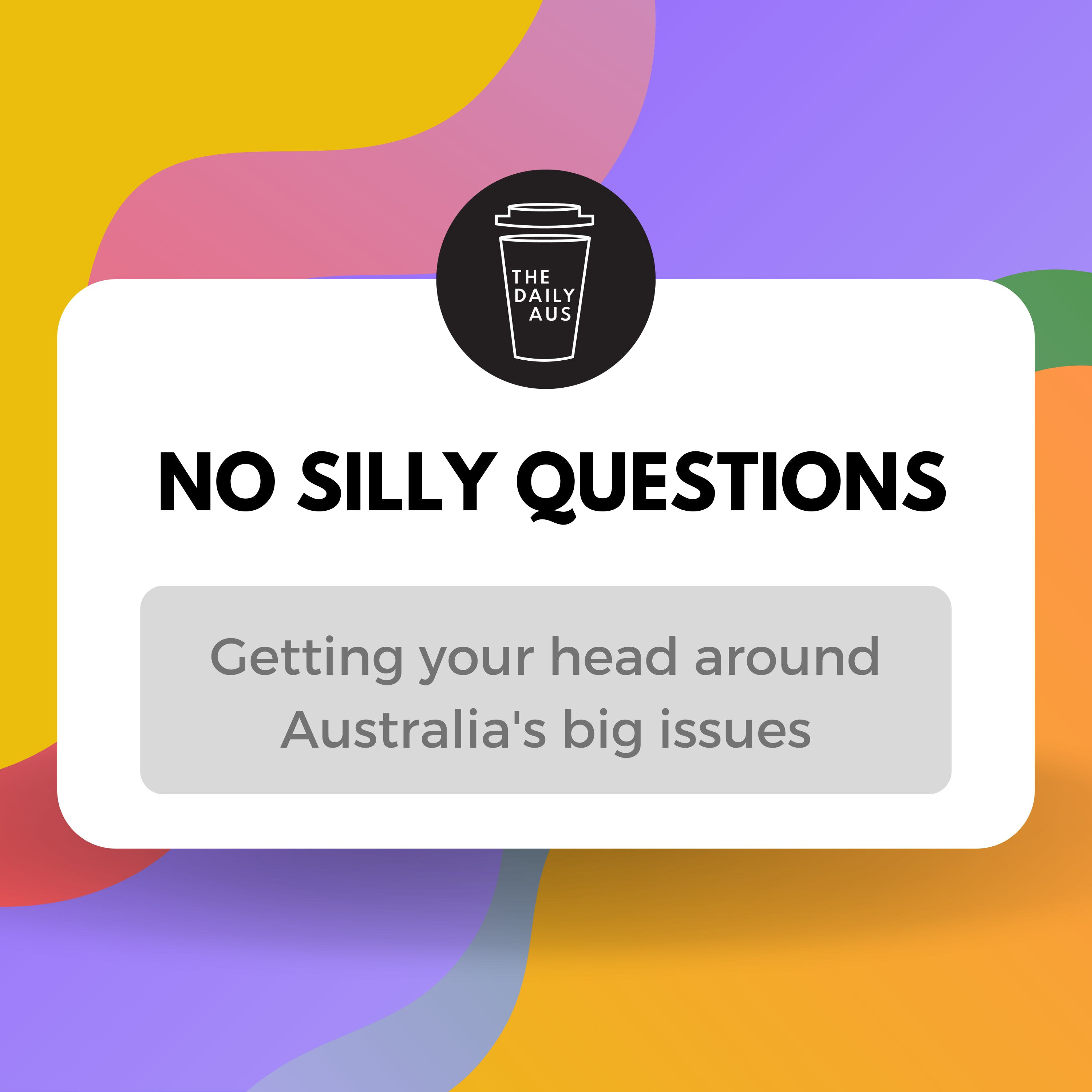 No Silly Questions cover