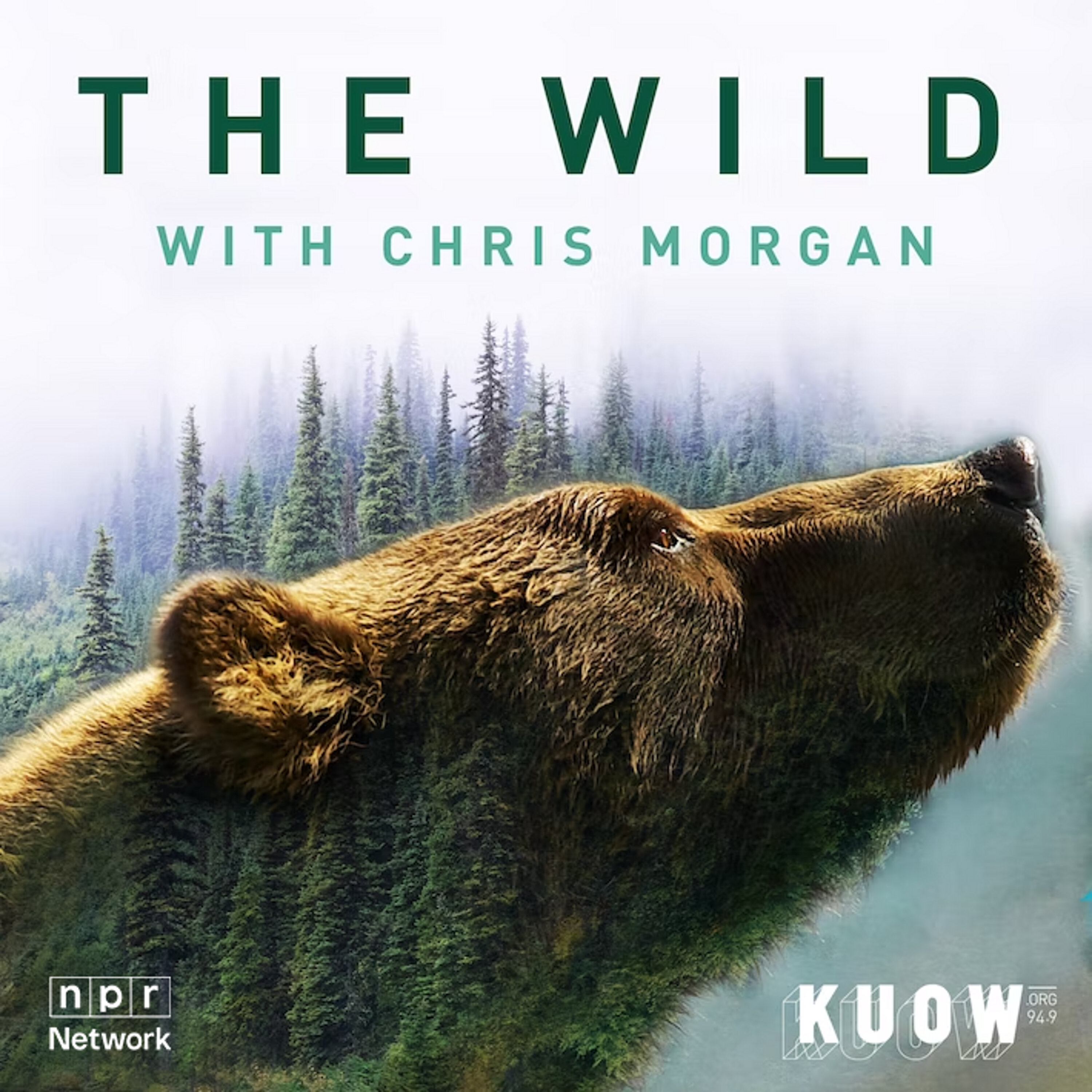 The Wild with Chris Morgan Artwork