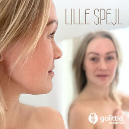 Lille Spejl