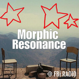 Morphic Resonance