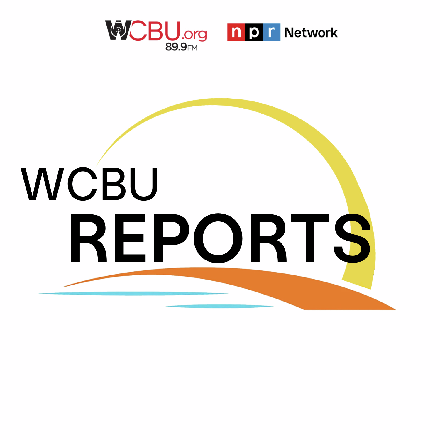 WCBU Reports