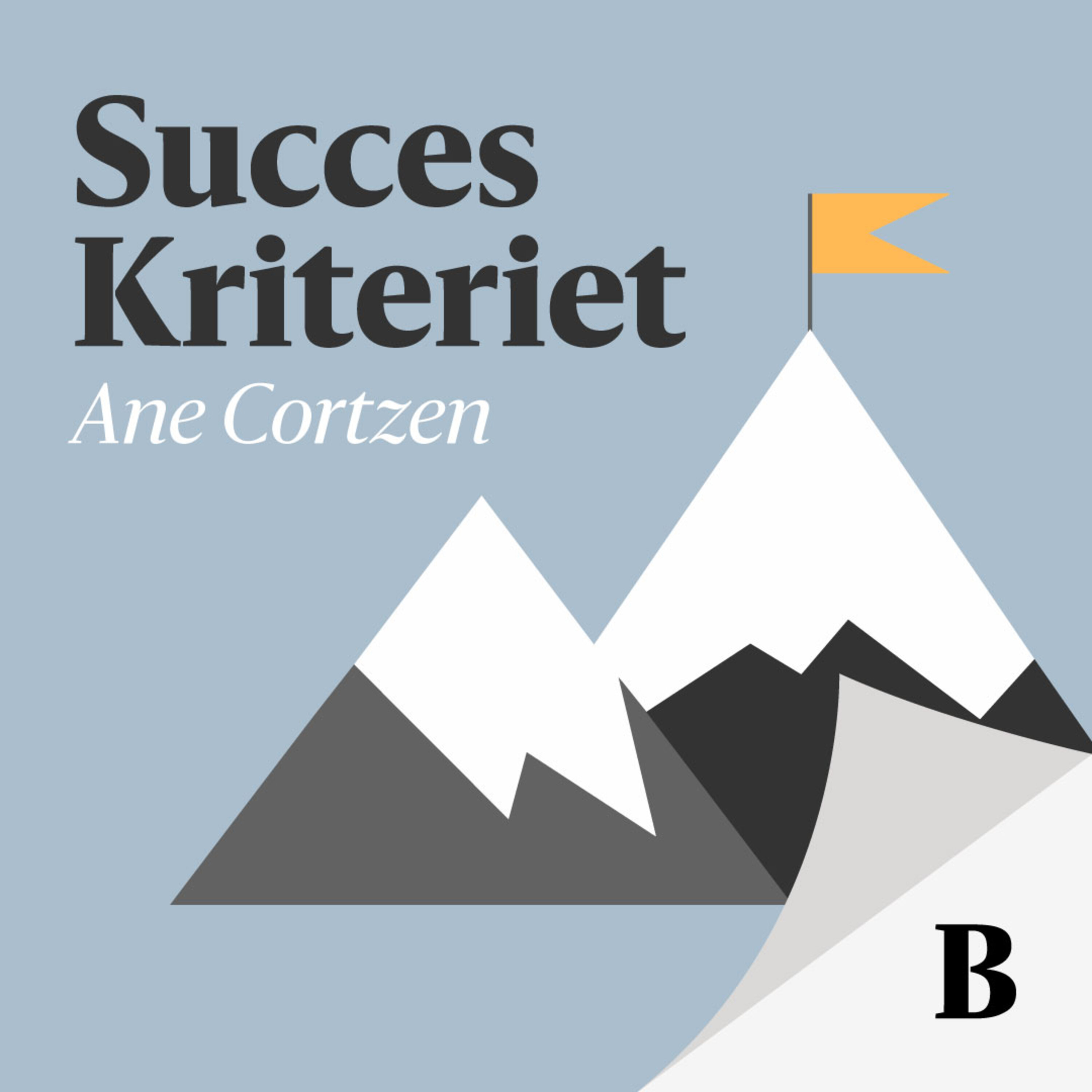 SuccesKriteriet