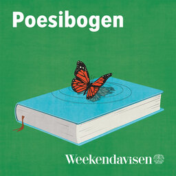 Poesibogen