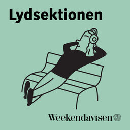 Lydsektionen