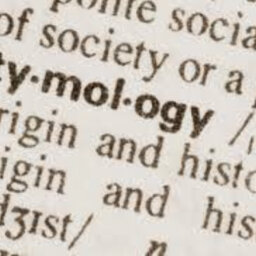 Verbal Voyage: ChatGPT Unravels Word Origins