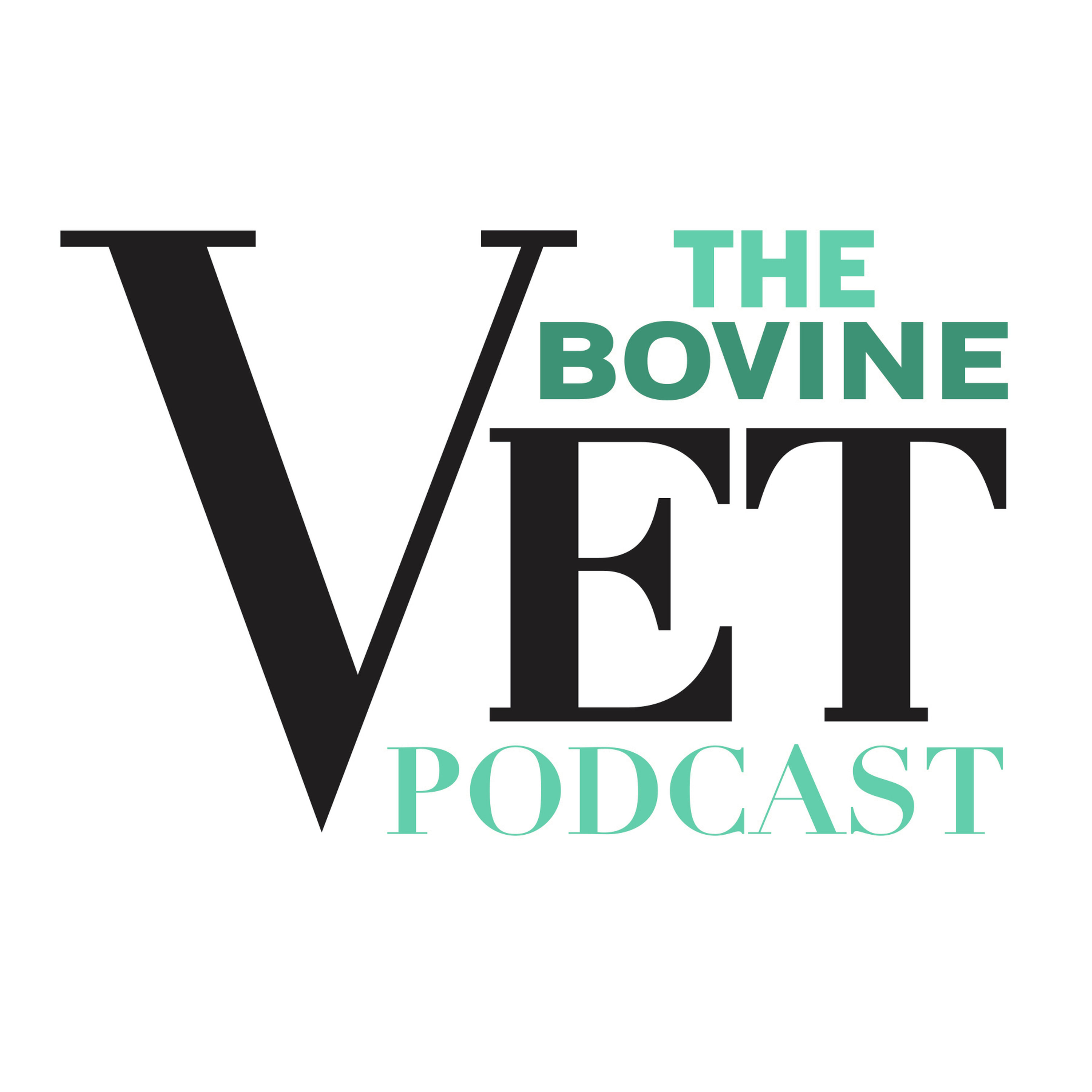 The Bovine Vet Podcast: Genomic Testing & Herd Replacement Decisions The Bovine Vet Podcast: Genomic Testing & Herd Replacement Decisions