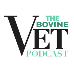 The Bovine Vet Podcast