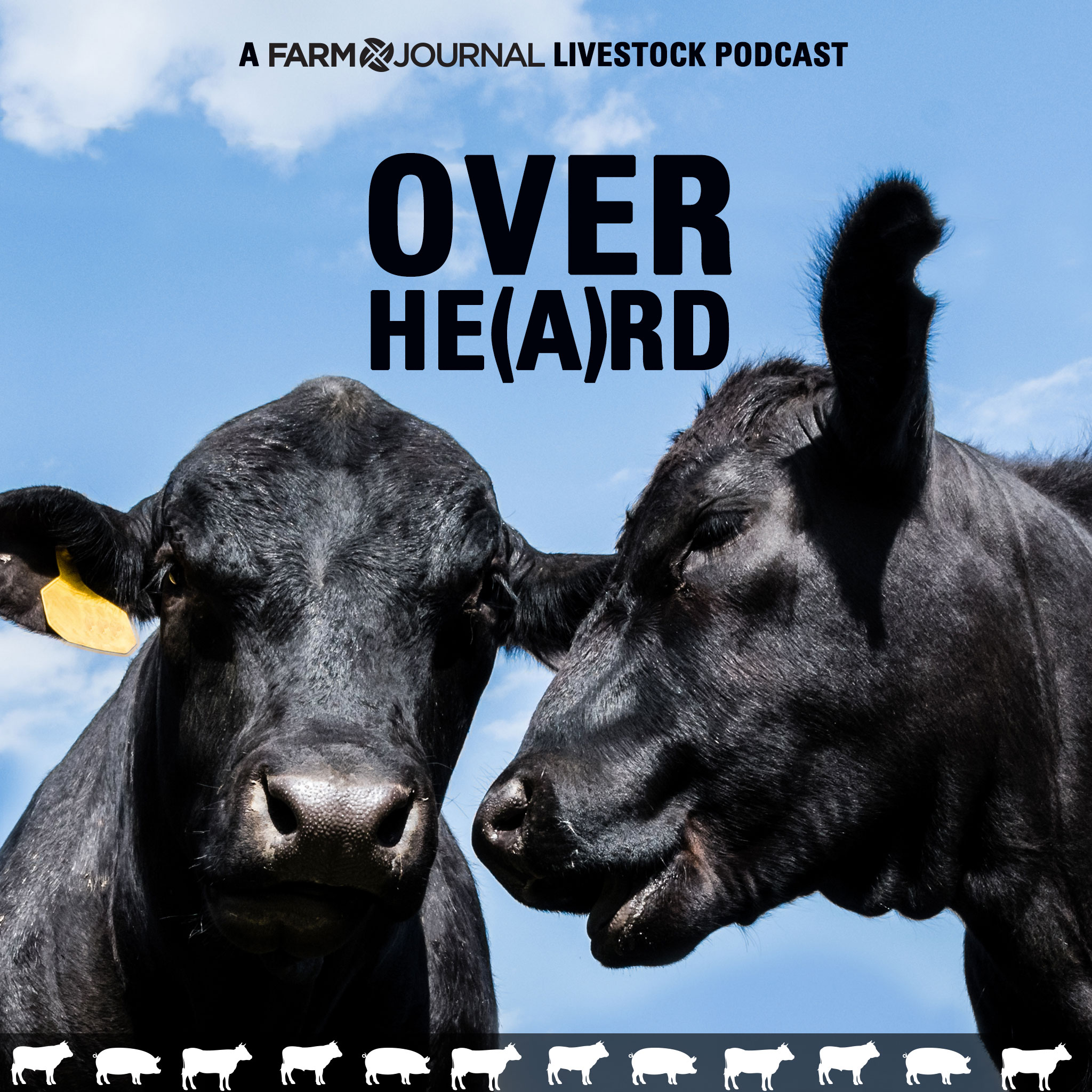 Overhe(a)rd Podcast