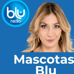 Mascotas Blu Radio