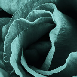 שישי בשתיים