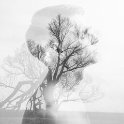 שניים עם אשכול נבו