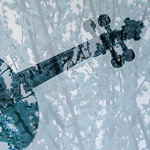 כאן צפון - אורלי אלקלעי