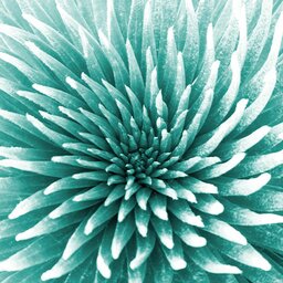 זרקור - אורי מרקוס - עורך ומגיש