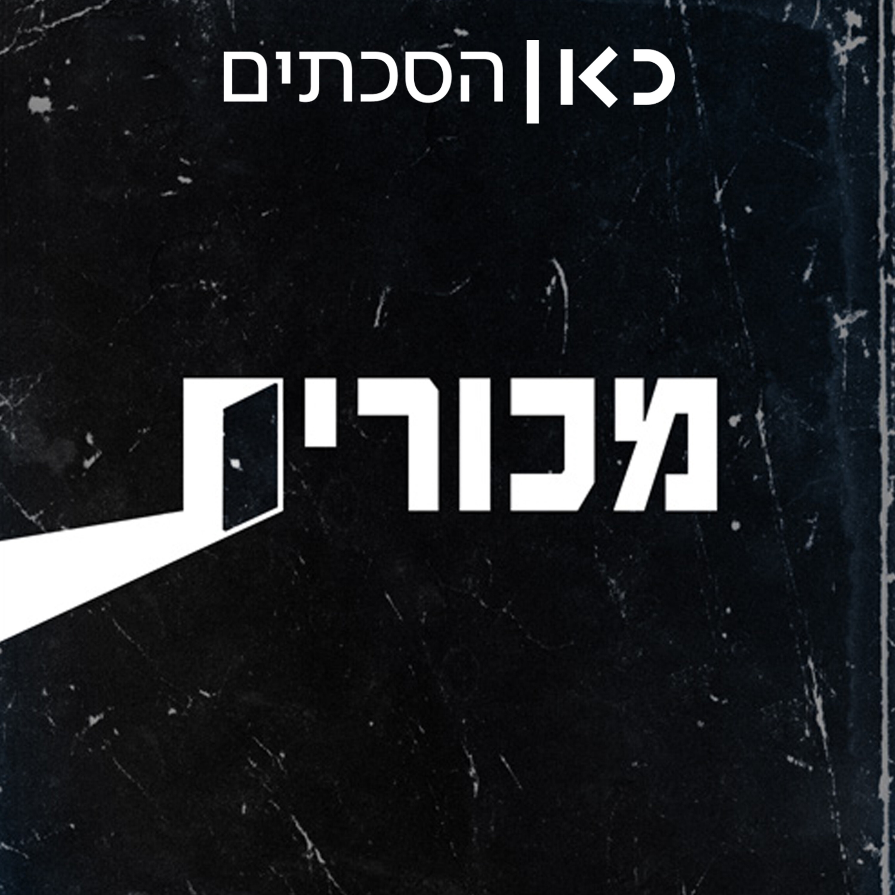 פרק 21: תמיר