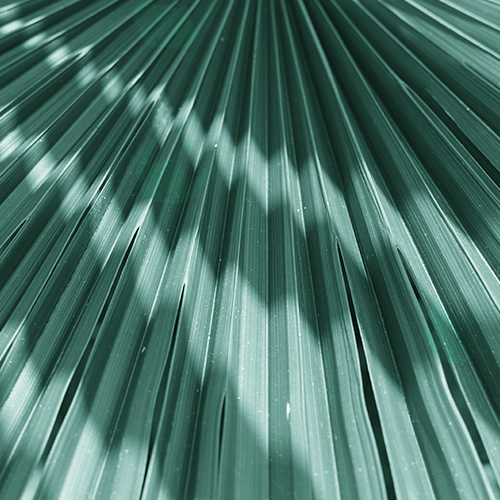 שחרית אישית עם אורלי מורג