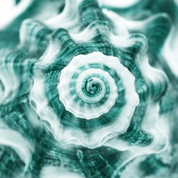 תוכנית ספיישל לחג 1