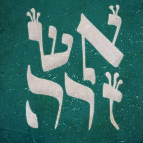 אש זרה - נדב הלפרין