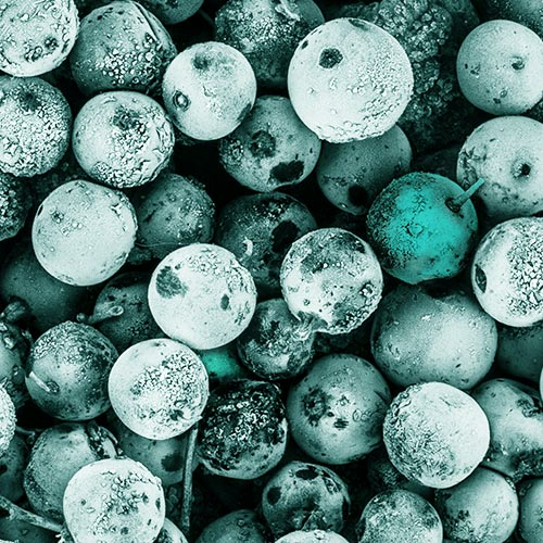 מסביב לחצות - רוני ורטהיימר - עורך ומגיש