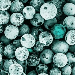 מסביב לחצות - רוני ורטהיימר - עורך ומגיש