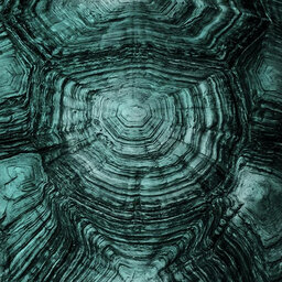 מאוצר הסרטייה