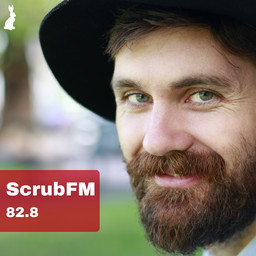 Sampled Conversations with Seamus McAlary