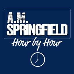 AM Springfield Hour by Hour