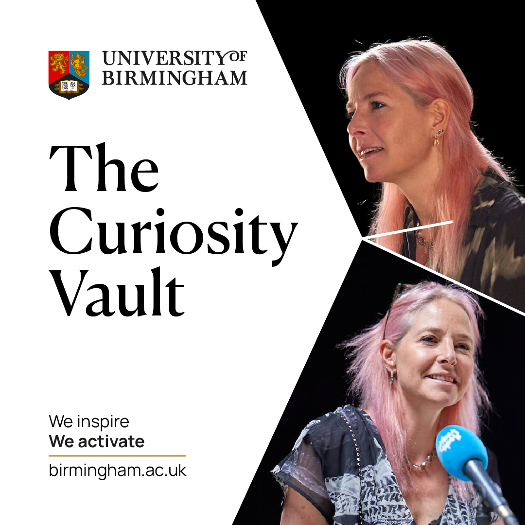 The Curiosity Vault