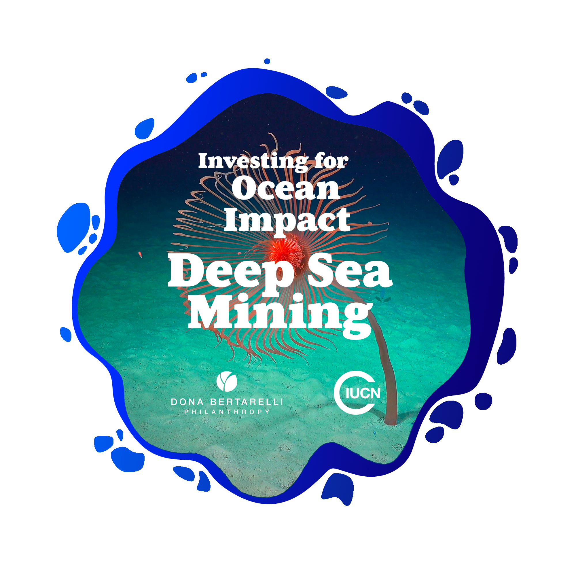 Investing For Ocean Impact