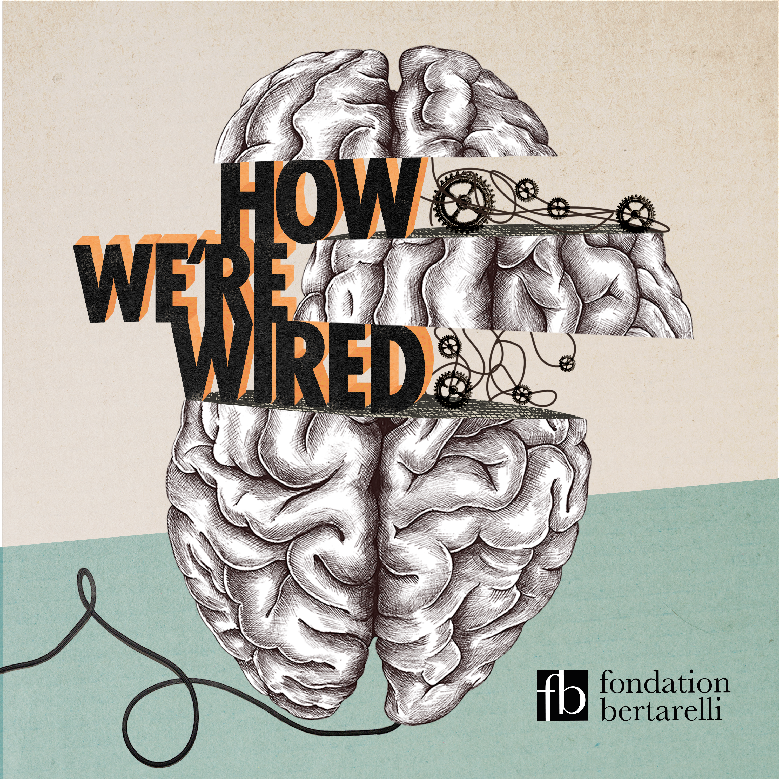 How We're Wired