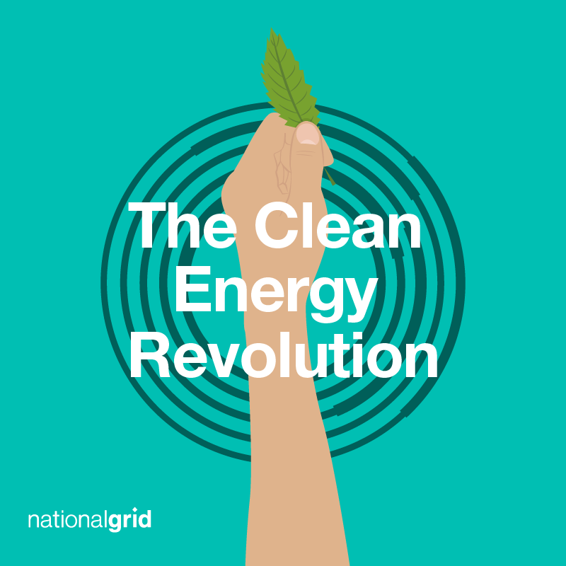 The Clean Energy Revolution