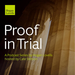 Proof In Trial