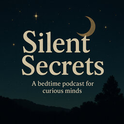 Silent Secrets
