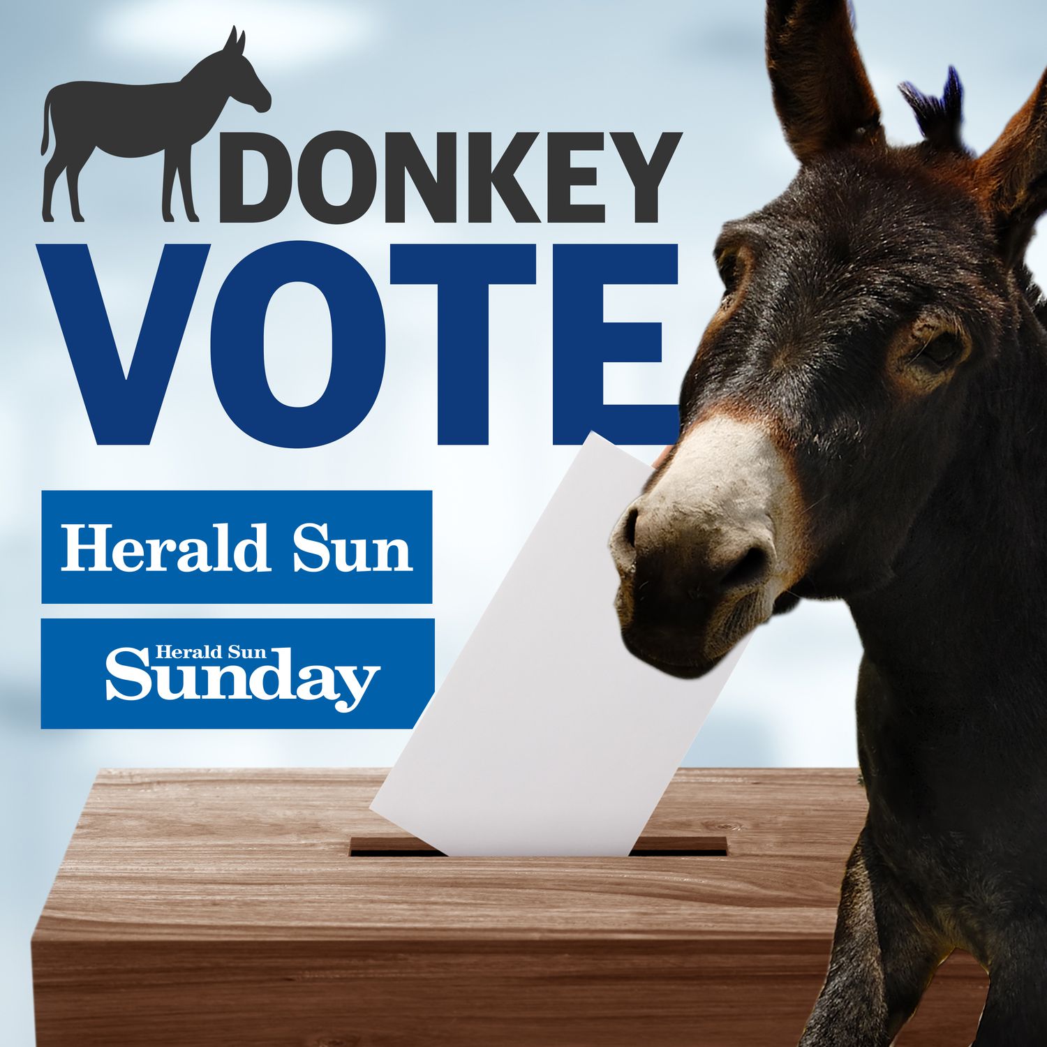 Donkey Vote