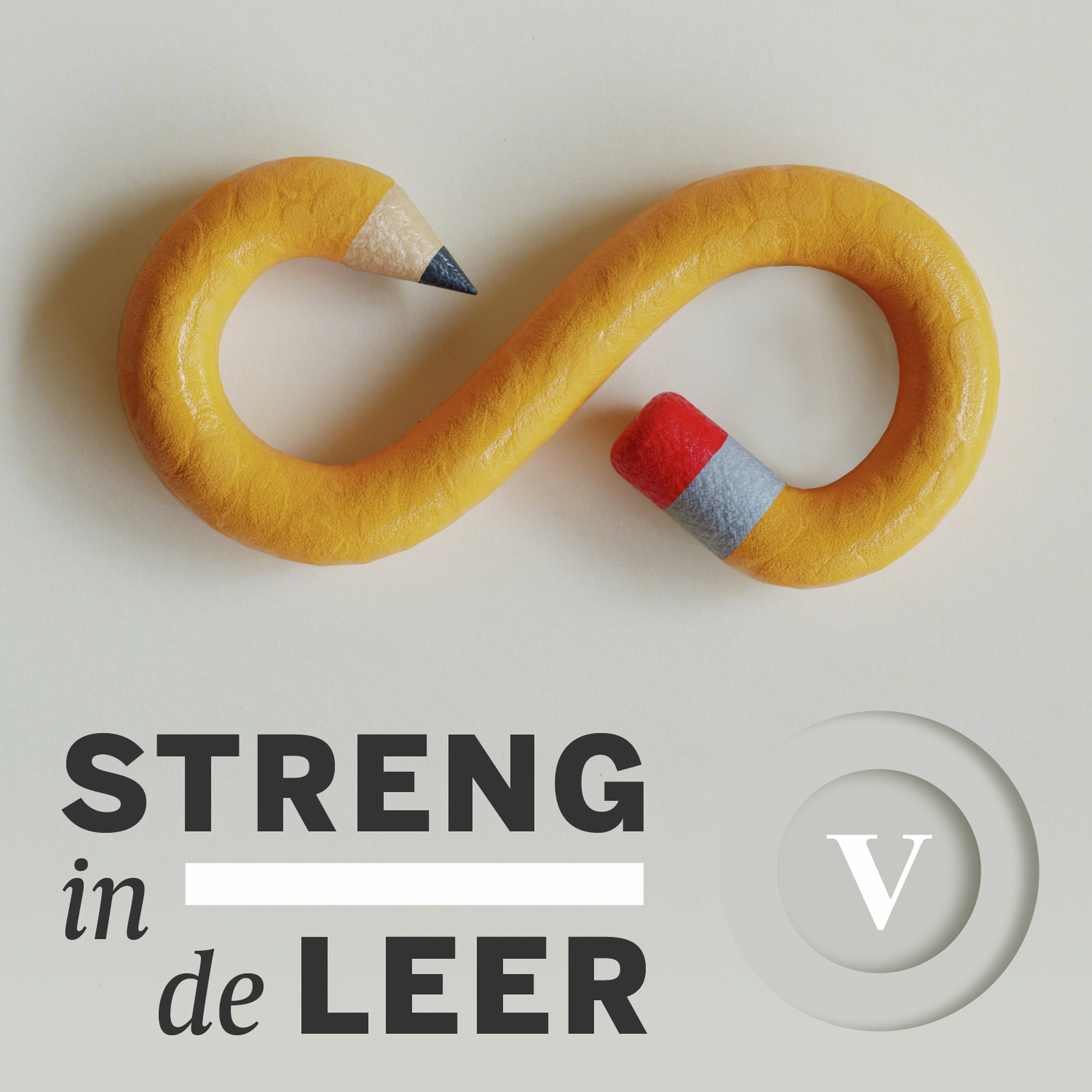 Streng in de leer cover