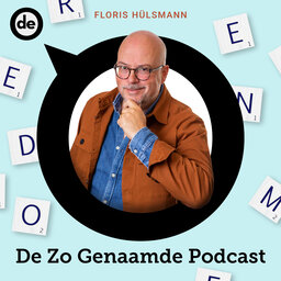 De Zo Genaamde Podcast | De Ondernemer
