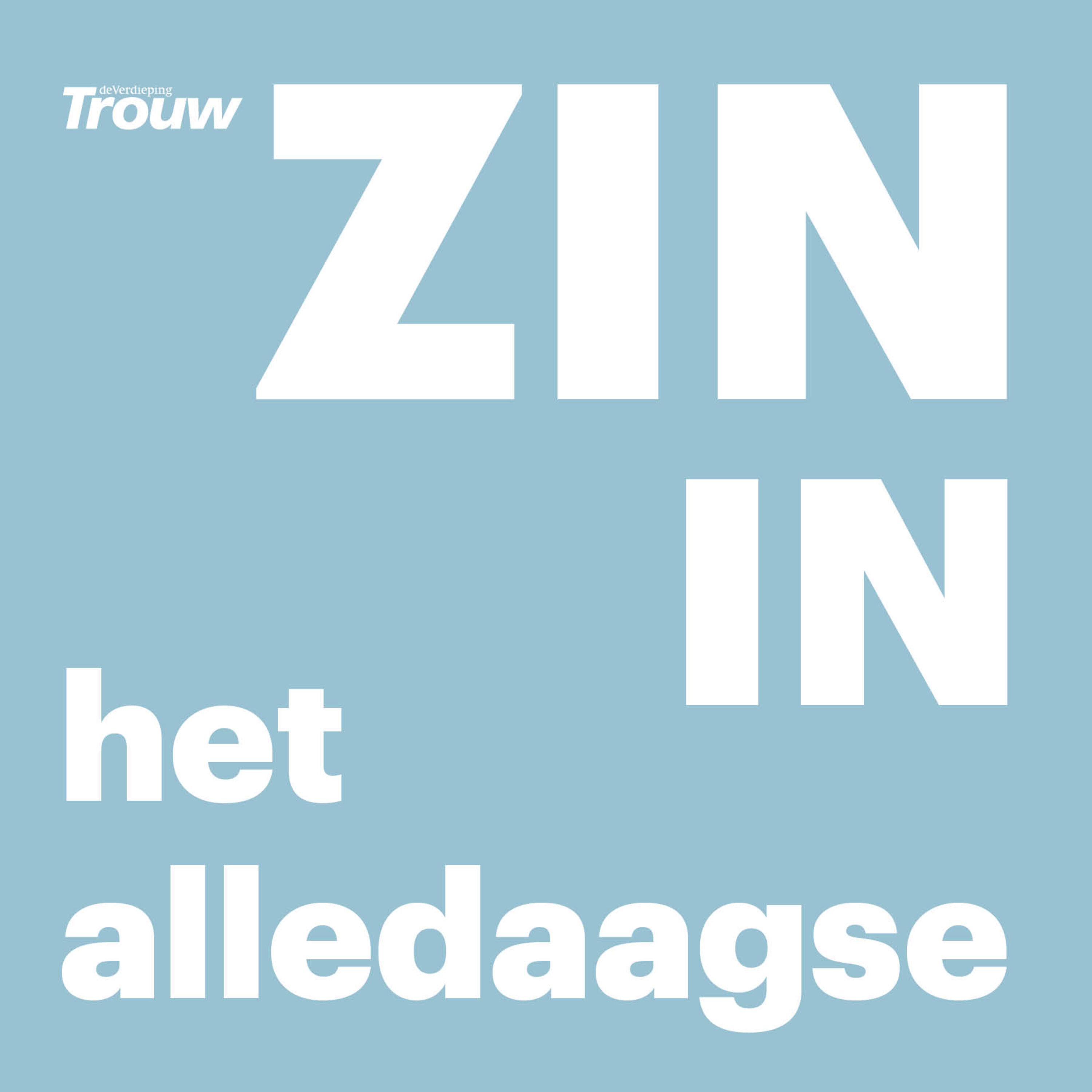 Zin in het alledaagse