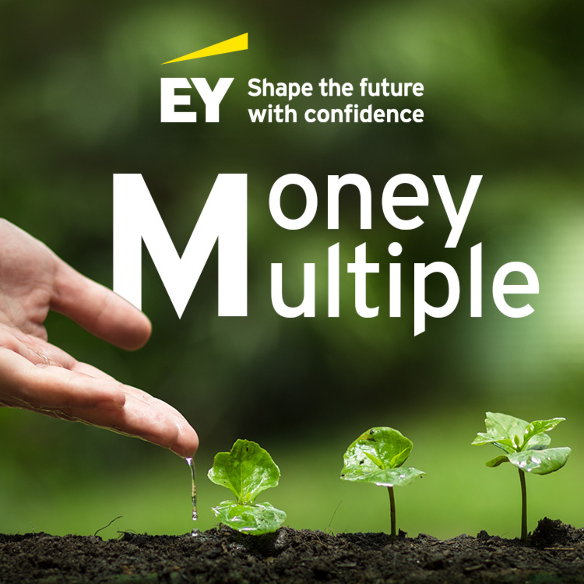 Money Multiple - The EY Asia-Pacific Private Equity Podcast