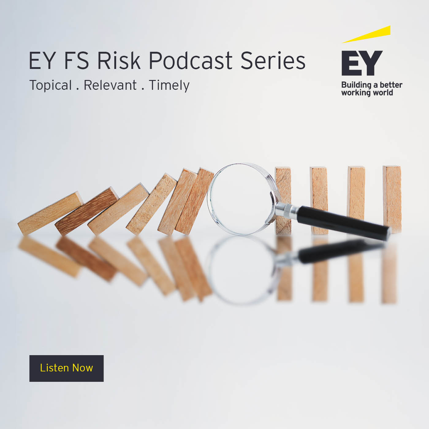 EY FS Risk Podcast Series