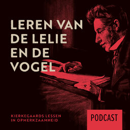Leren van de lelie en de vogel