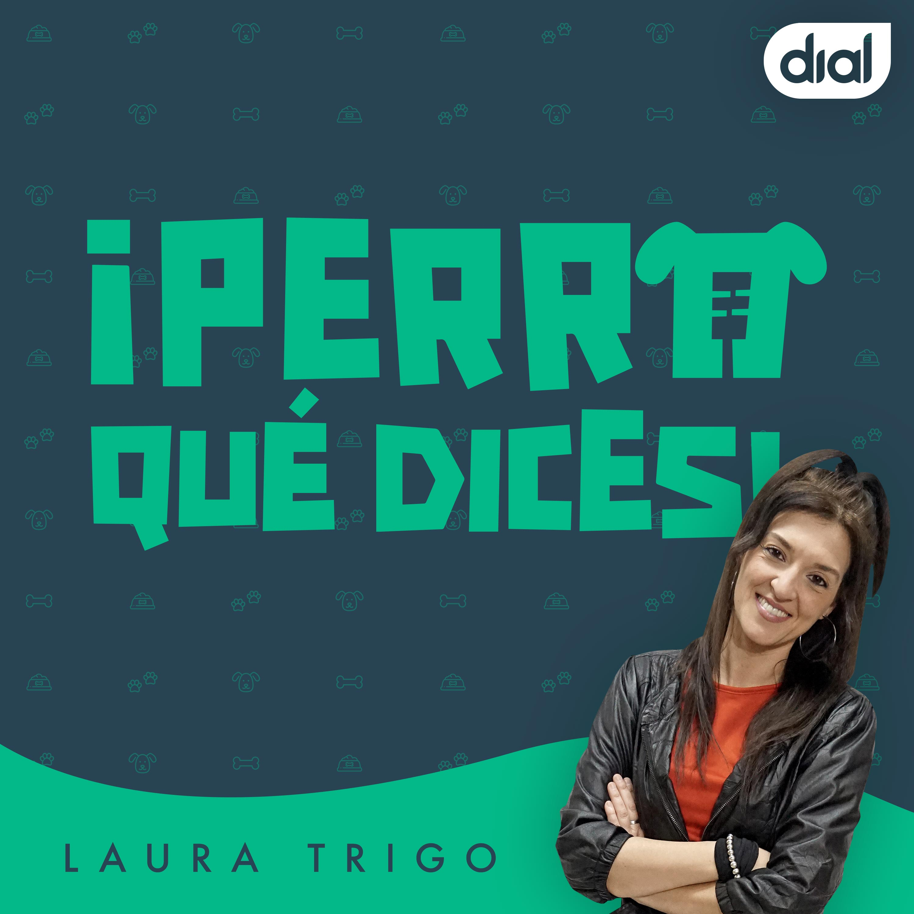 Imagen de ¡Perro qué dices! Podcast