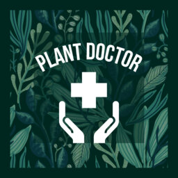 Plant Doctor