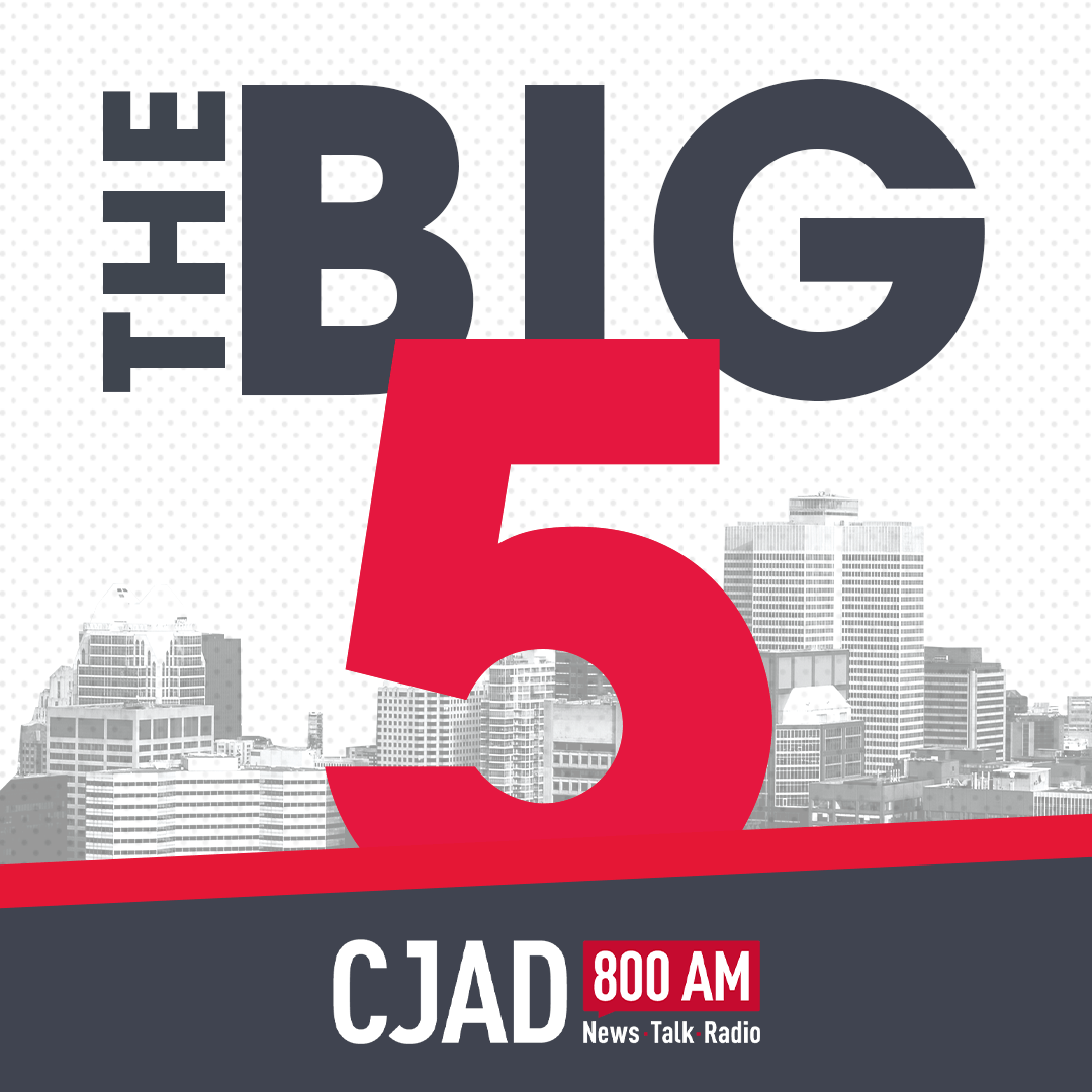 logo of podcast The Big Five Podcast