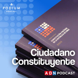 Ciudadano Constituyente