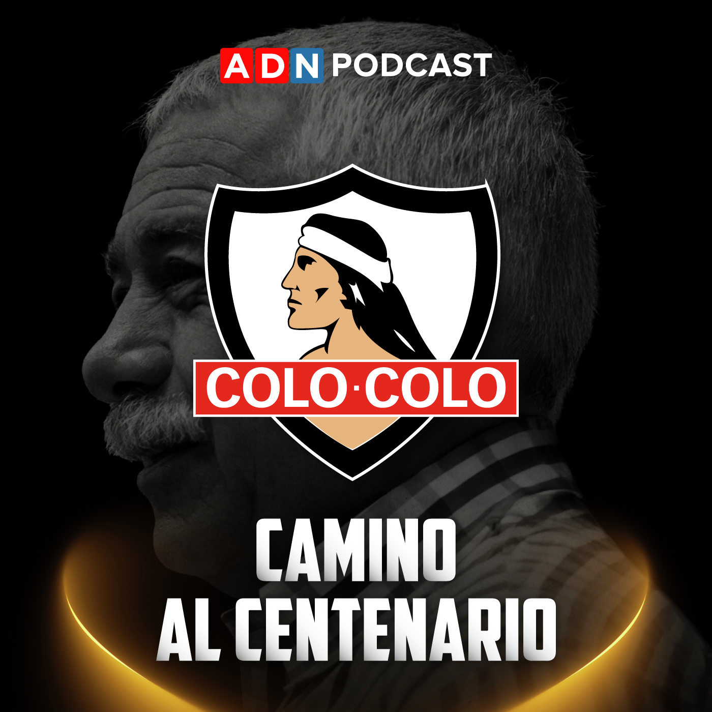 Colo Colo: Camino al centenario