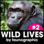 WILD LIVES by faunographic