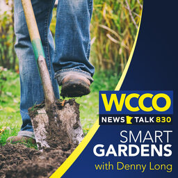 WCCO's Smart Gardens