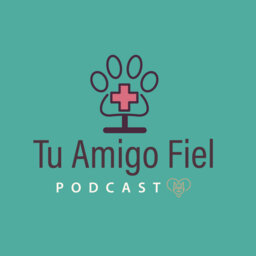 Tu Amigo Fiel Podcast