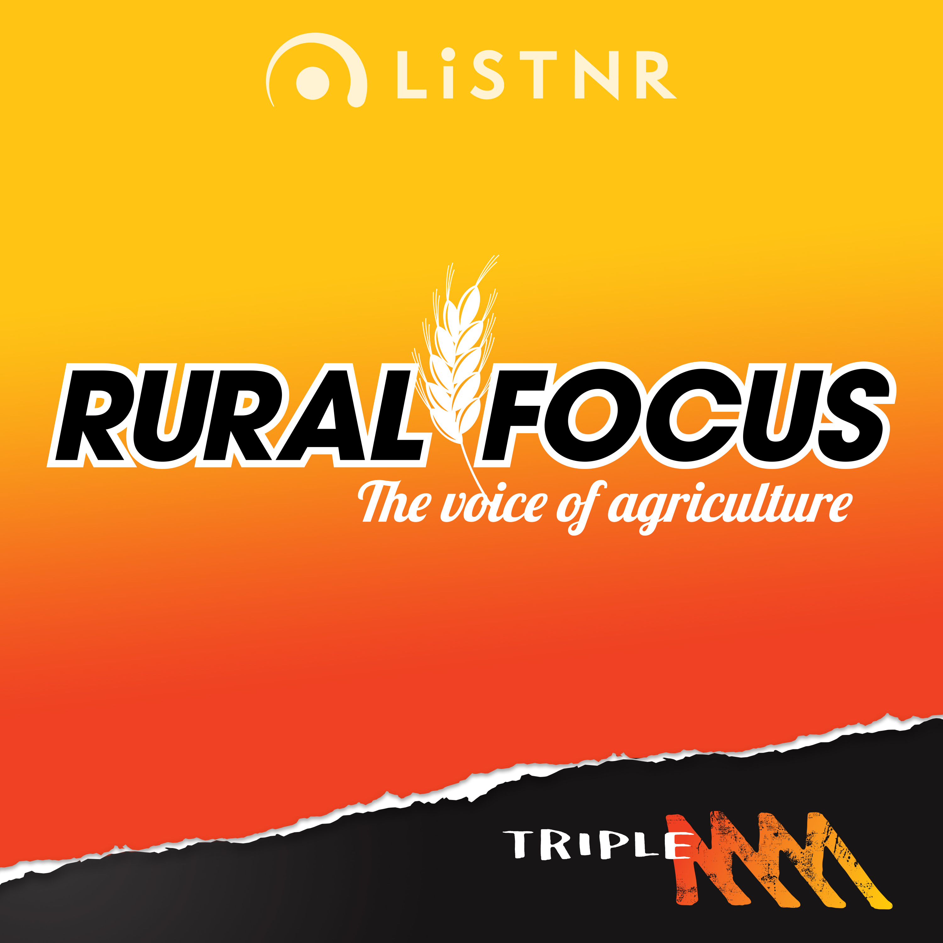 Soil Solutions: Tackling Water Repellence on Your Farm